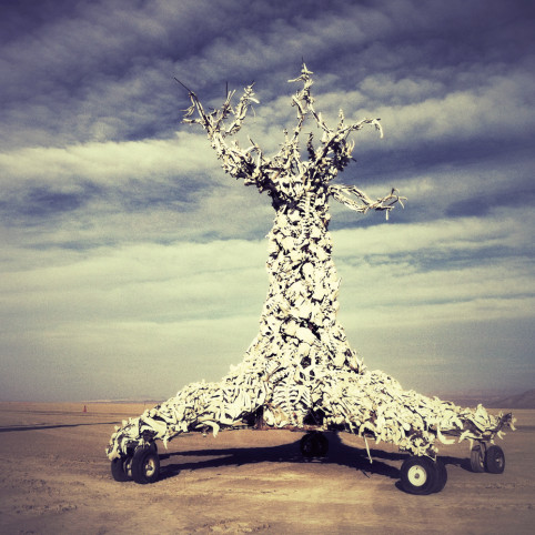 One of our favorite pieces, the Bone Tree, made out of the skeletons of animals from the area, was pulled from the ranch to the playa. 