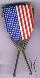 Patriotic Man Pin, 2009 (Photo by Steven Fritz)
