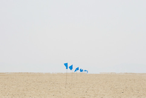 These blue flags mark the path where the trash fence will be.