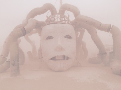 Medusa in the dust
