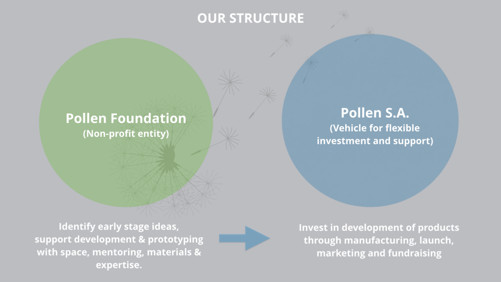 Pollen structure