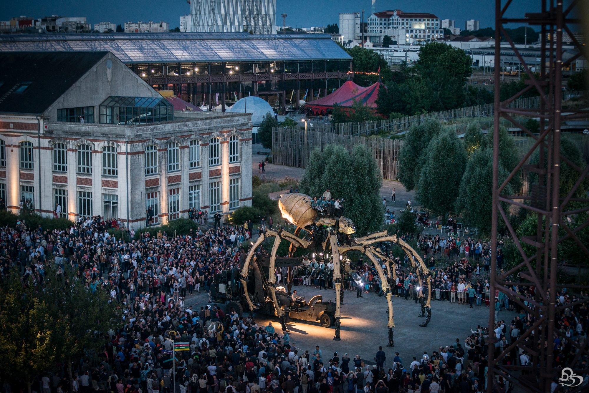 Spider at Night on the Isle of Nantes. (Photo by Gilles Bonugli Kali)