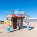 Department of Mutant Vehicles