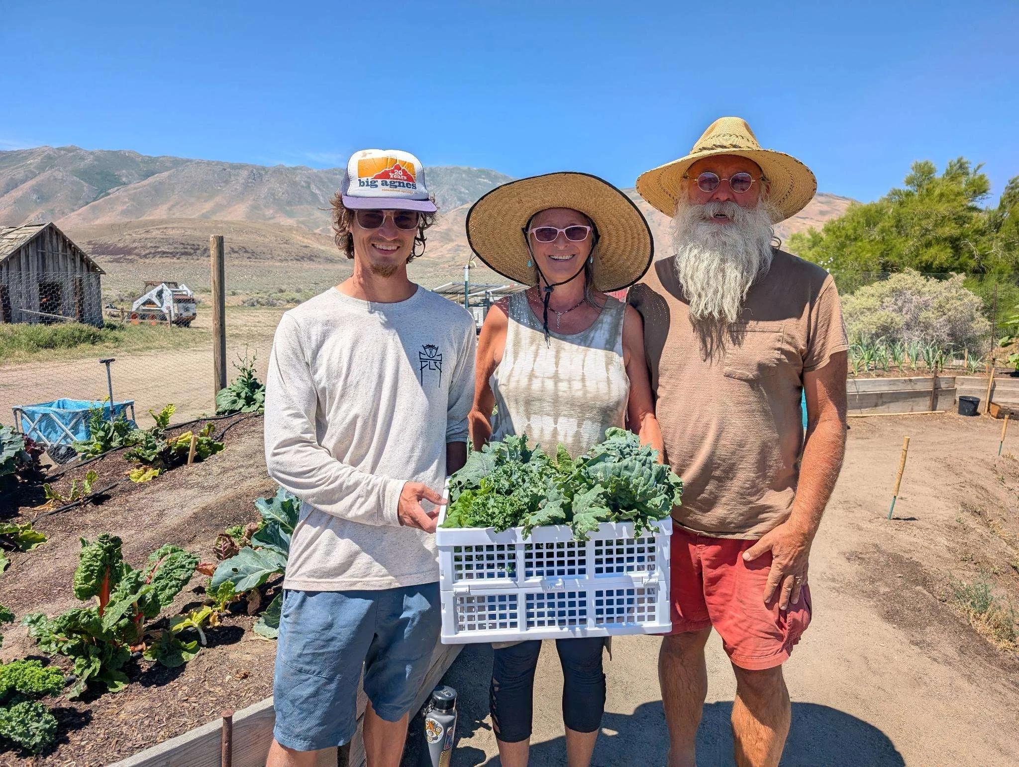Three people hold a basket full of leafy greens grown at Fly Ranch